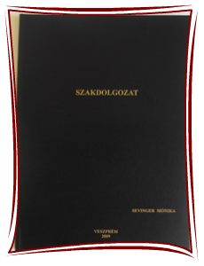 Szakdolgozat